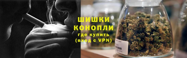 таблы Бородино