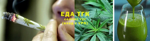 прущие грибы Ельня