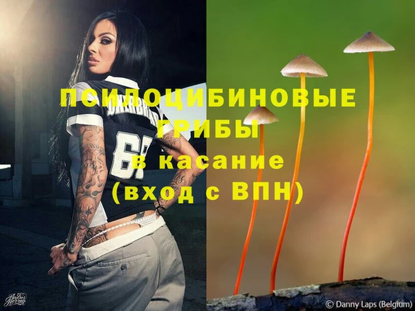 ешки Бугульма