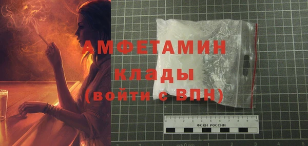 мдпв Бронницы