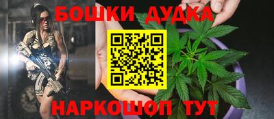 Альфа ПВП Бийск