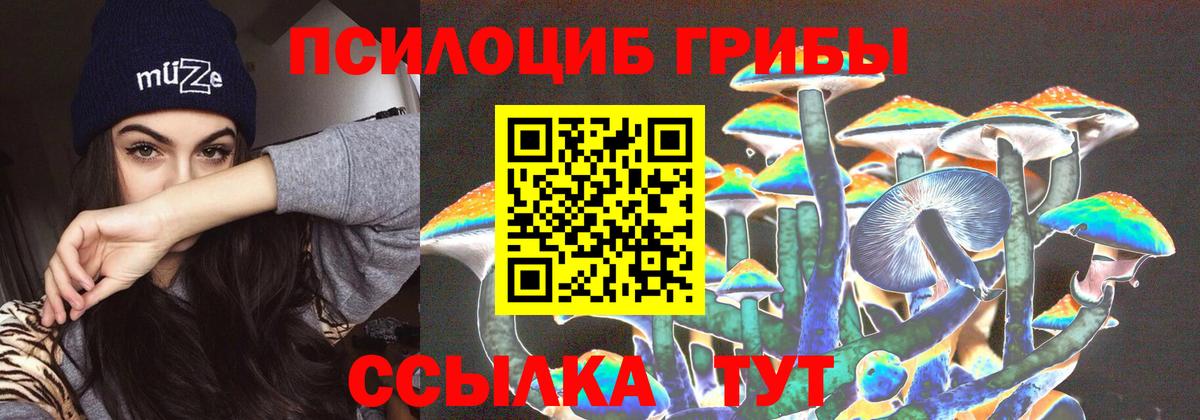 Галлюциногенные грибы MAGIC MUSHROOMS Воркута