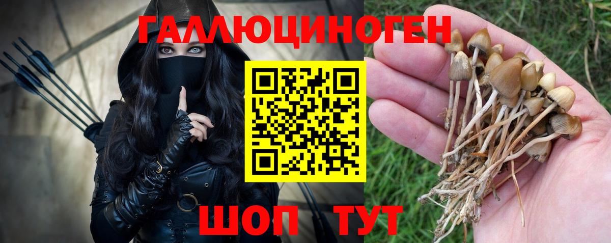 Псилоцибиновые грибы Magic Shrooms  где найти наркотики  Воркута 