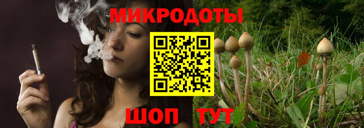 Псилоцибиновые грибы мухоморы  Вход с VPN  купить   Воркута 